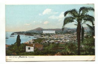 Funchal,  Madeira - General View,  Houses - Old Postcard