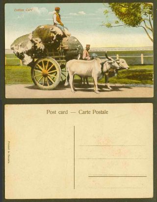 India Old Colour Postcard Cotton Cart,  Double Bullock,  Cattle And Native Driver