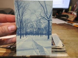 Vintage Old Postcard Illinois Chicago Lincoln Park Cyanotype Winter Elm Trees