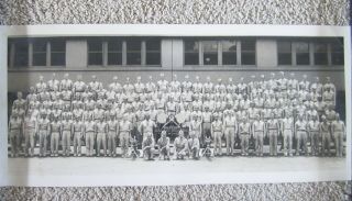 Vintage Wwii Ww2 Us Army 14th Chemical Service Battalion Panoramic Photo Men