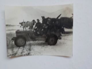 Wwii Photo Servicemen In Jeep With Dog Photograph Snapshot Ww Ii Vtg War Ww2