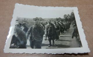 Wwii German Soldiers & French Pows Photograph Ww2 Foto 59