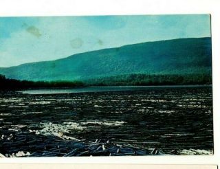 Old Postcard - Canada - Log Boom Feeding Bowater Paper Mill,  Corner Brook,  Nfld
