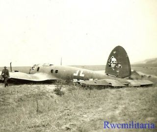 Best Bullet Riddled Shot Down Luftwaffe He - 111 Bomber In Field
