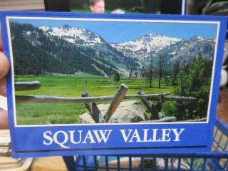Vintage Old Postcard California Squaw Valley Springtime X Fence Line Pine Trees