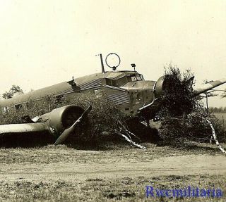 Best Shot Down Luftwaffe Ju - 52 Transport Plane In Field (2)