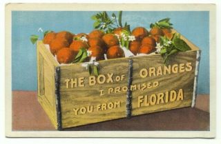 The Box Of Oranges I Promised You From Florida Crate Old Postcard