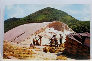 St Martin Grand Case French West Indies Salt Bagging Export Postcard Old Vintage