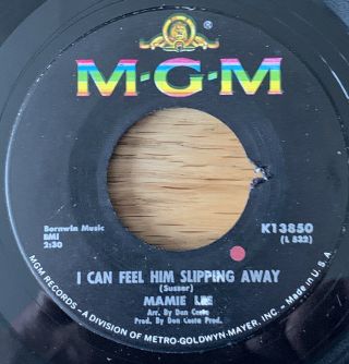 Mami Lee - I Can Feel Him Slipping Away - Mgm - N/soul/mod