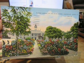 Vintage Old Postcard Texas Huntsville State Prison Jail Penitentiary Garden Bed
