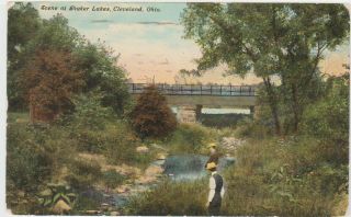 Cleveland,  Oh Postcard 1914 Scene At Shaker Lakes Antique Vintage Old Scenic