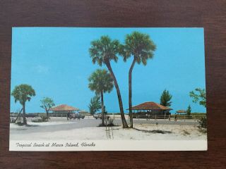 Tropical Beach At Marco Island,  Florida Postcard - Old Cars - Palm Trees - 1967