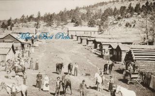 Old West Photo Postcard - " Manhattan,  Colorado Gold Camp "