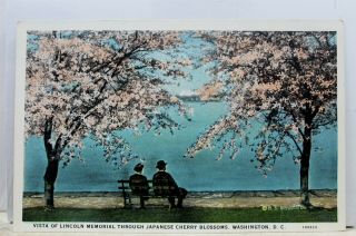 Washington Dc Japanese Cherry Blossoms Lincoln Memorial Postcard Old Vintage Pc