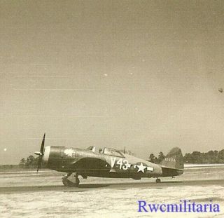 Org.  Photo: P - 47 Fighter Plane (41 - 6604; Lost 1944) Parked On Airfield