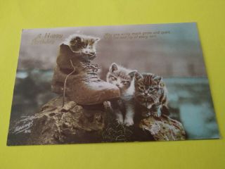 Vintage Birthday Postcard.  3 Kittens One In An Old Boot.  Pm 1929