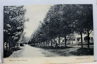 York Ny Caledonia East Avenue Postcard Old Vintage Card View Standard Post
