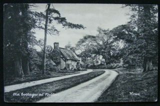 1905 Old Cottages At Bilton Rugby Warwickshire Postcard