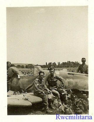 Best Wehrmacht Troops Posed W/ Shot Down Me - 109 Fighter Plane In Field