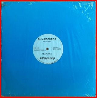 Disco Boogie Funk 12 " Expression - Release Disco B,  N - Ultra Rare 