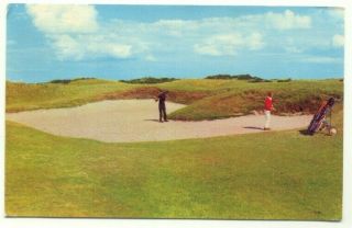 St.  Andrews The Old Course Golf Notorious Hell Bunker Postcard
