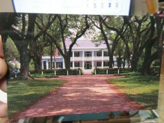 Vintage Old Postcard Louisiana St Saint Francisville Rosedown Plantation Gardens