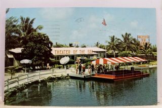 Florida Fl Islamorada Theater Of The Sea Keys Postcard Old Vintage Card View Pc