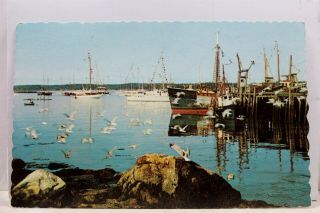 Maine Me Boothbay Harbor Coast Postcard Old Vintage Card View Standard Souvenir