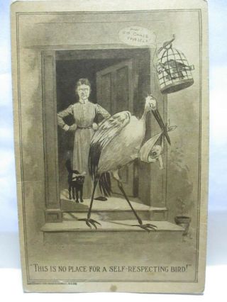 1910 Postcard Old Maid & Stork - This Is No Place For A Self Respecting Bird