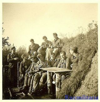 Best Luftwaffe Field Division Troops In Camo In Trenchline Position; Russia