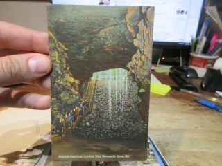 Vintage Old Kentucky Postcard Mammoth Cave Entrance Steps Going Down Up
