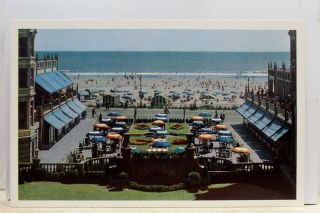 Jersey Nj Atlantic City Hotel Dennis Postcard Old Vintage Card View Standard