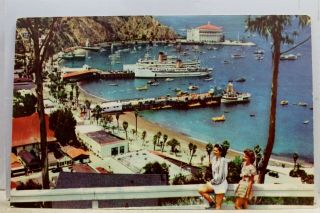 California Ca Catalina Island Union Oil 76 Gas Postcard Old Vintage Card View Pc