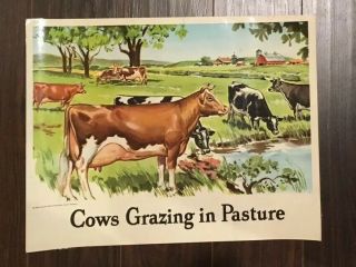 Vintage 1950s National Dairy Council Milk Poster Cow Dick & Jane Style Art 14x17
