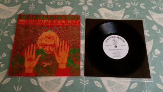 Rare The Insektlife Cycle Fruits De Mer 2020 Lathe Cut 7 " Single Psych Rock