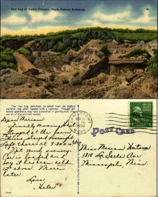 Iron Log Petrified Wood Cedar Canyon Badlands Nd Linen Mailed 1950 Old Postcard