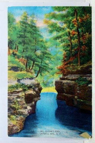 York Ny Catskill Mountains Gnome Pool Postcard Old Vintage Card View Post Pc