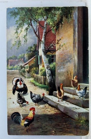 Art Ga Novelty Series Farm Turkey Chicken Rooster Postcard Old Vintage Card View