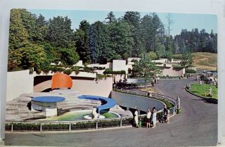 Oregon Or Portland Zoo Gardens Polar Bears Postcard Old Vintage Card View Post