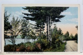 York Ny Adirondack Mountains Loon Lake Pretty Postcard Old Vintage Card View