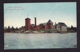 Old Vintage Postcard Of Lobster Hatchery Boothbay Harbor Maine Me