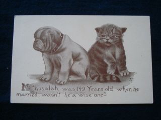 Cat & Dog Methusalah Was 149 Years Old When He Married Artist Signed V.  Colby
