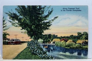 Florida Fl Everglades Tamiami Trail Postcard Old Vintage Card View Standard Post