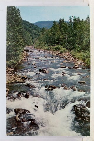 Great Smoky Mountains National Park Stream Postcard Old Vintage Card View Post