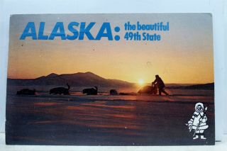 Alaska Ak 49th State Postcard Old Vintage Card View Standard Souvenir
