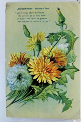 Greetings Chrysanthemum Hope Of Love Postcard Old Vintage Card View Standard Pc