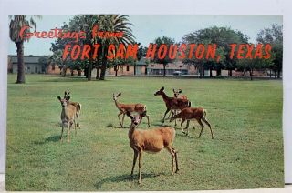 Texas Tx Fort Sam Houston Greetings Postcard Old Vintage Card View Standard Post