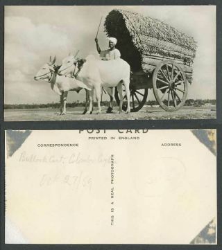 Ceylon 1959 Old Real Photo Postcard Double Bullock Cart,  Native Driver,  Colombo