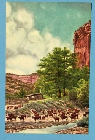 Old Horse Art Postcard L.  H.  Larsen