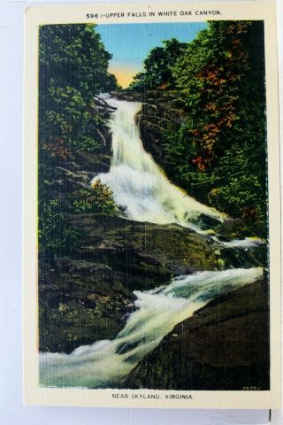 Virginia Va Skyland White Oak Canyon Upper Falls Postcard Old Vintage Card View